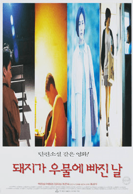 The Day a Pig Fell Into the Well 1996 Movie