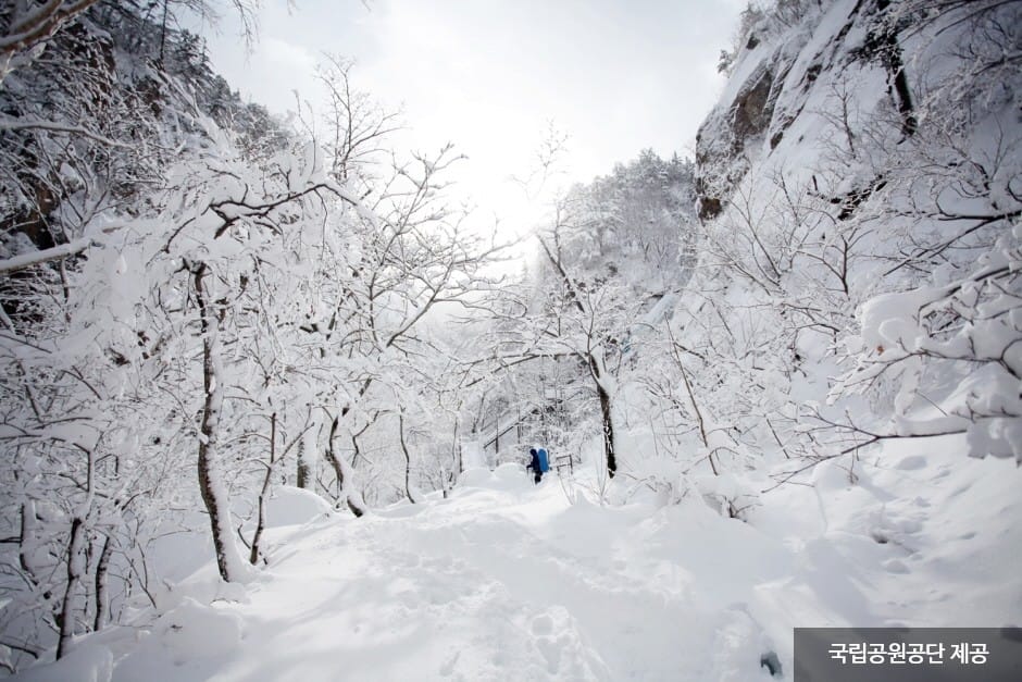 Seoraksan Crash Landing on You filming location