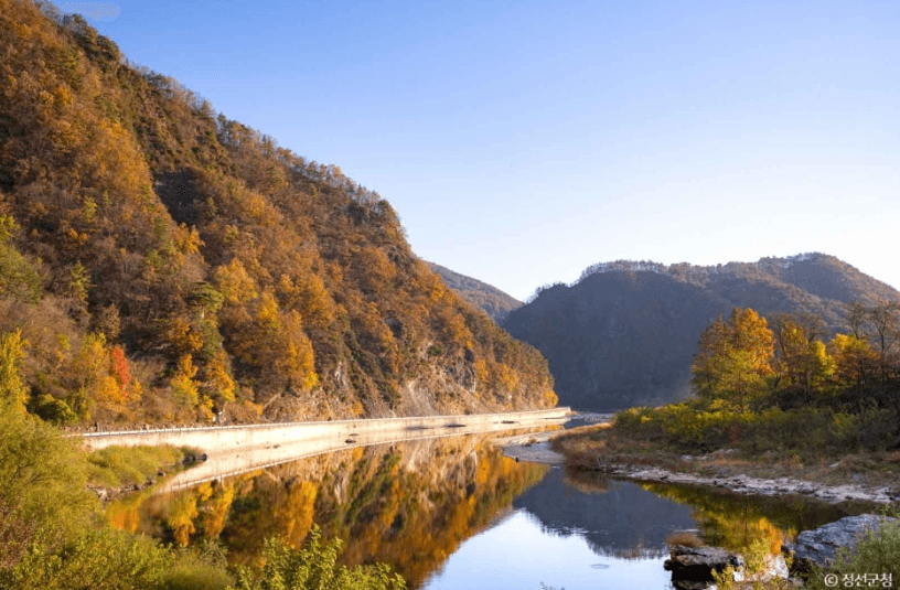 The Cheongnyeongpo sandbank and pine forest, cinematic filming location in Korea