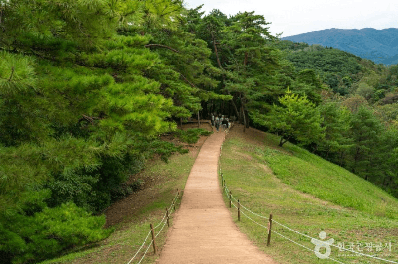 Peaceful forest path of Jangneung Royal Tomb, UNESCO World Heritage site in Yeongwol